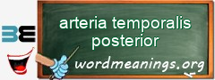 WordMeaning blackboard for arteria temporalis posterior